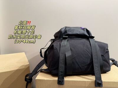The North Face Backpack view 2