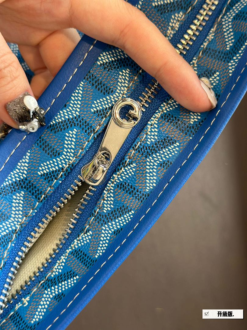 Goyard Saint Louis Tote view