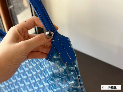 Goyard Saint Louis Tote view 8