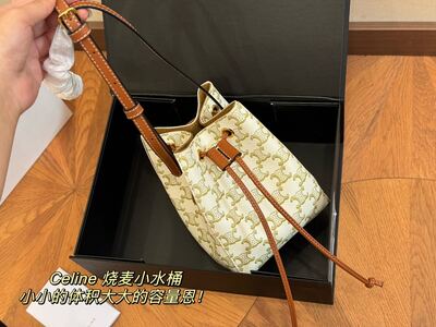 Celine Bucket Bag view 5