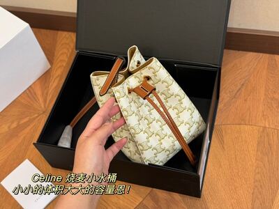 Celine Bucket Bag view 8