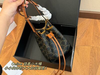 Celine Bucket Bag view 5