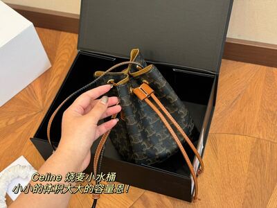 Celine Bucket Bag view 8