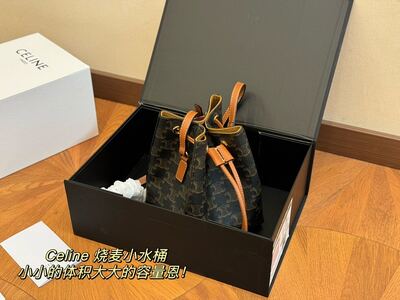 Celine Bucket Bag view 9