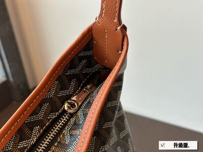 Goyard Saint Louis Tote view 4