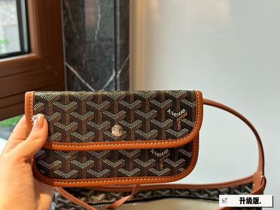 Goyard Saint Louis Tote view 2