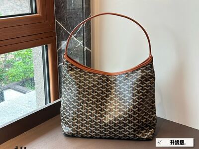 Goyard Saint Louis Tote view 9