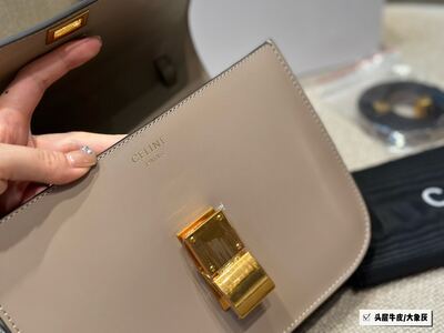 Celine Box Bag view 4