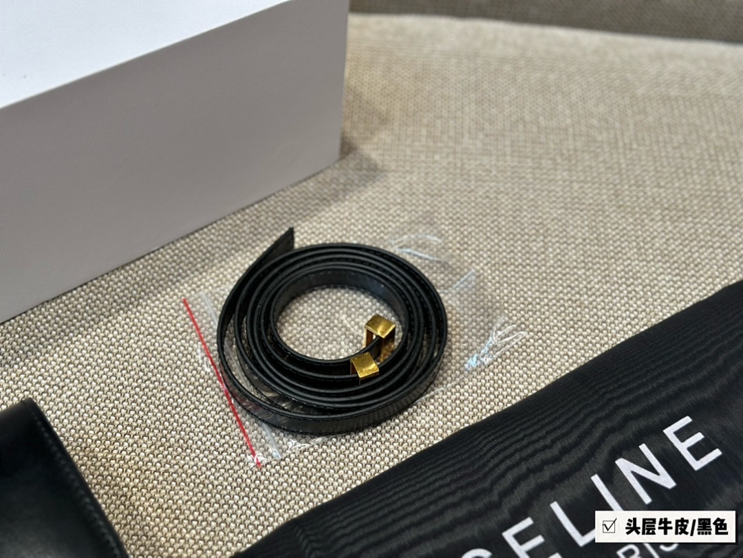 Celine Box Bag view