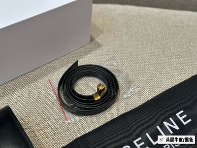 Celine Box Bag view 2