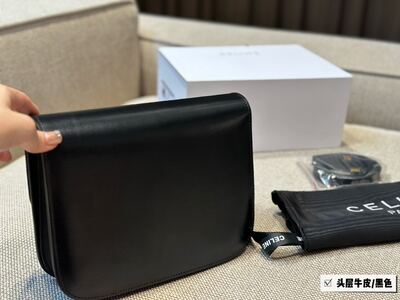 Celine Box Bag view 6