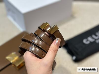 Celine Box Bag view 9