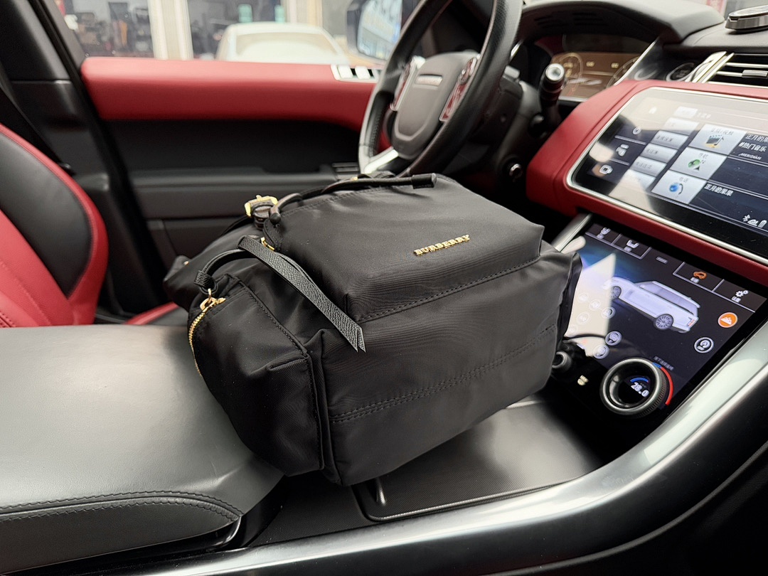 Burberry Backpack view