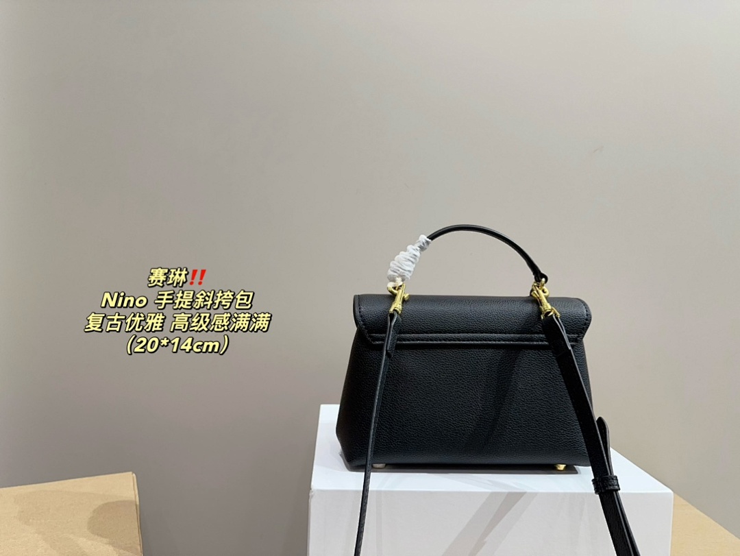 Celine Nino Shoulder Bag view