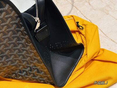 Goyard Saint Louis Tote view 4