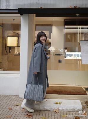 Goyard Tote Bag view 17