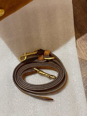 Celine Trapeze Bag view 2