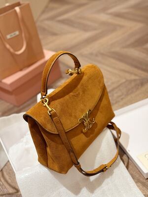 Celine Trapeze Bag view 8