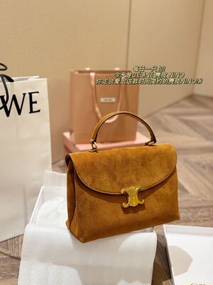 Celine Trapeze Bag view 9