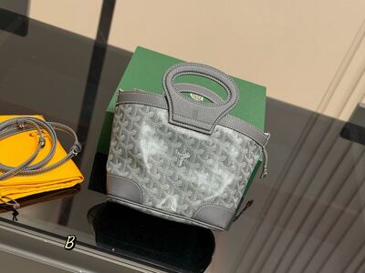 Goyard Saint Louis Tote view 12