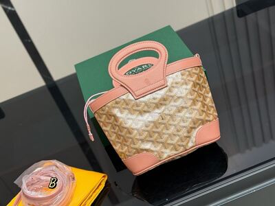 Goyard Saint Louis Tote view 14