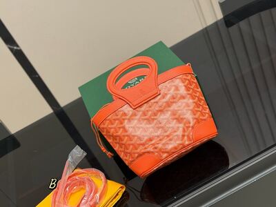 Goyard Saint Louis Tote view 16
