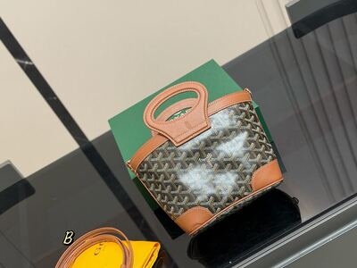 Goyard Saint Louis Tote view 27