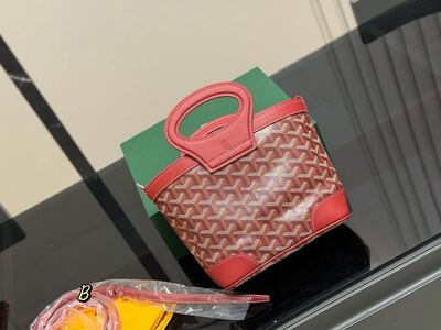 Goyard Saint Louis Tote view 4