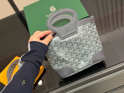 Goyard Saint Louis Tote view 9