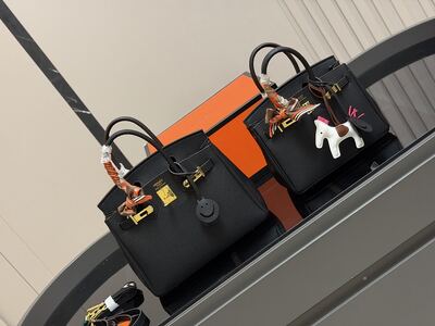 Hermes Birkin Bag view 6