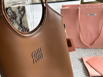 Miu Miu Top Handle Bag view 17