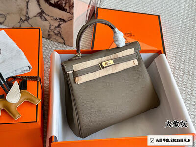 Hermes Kelly Bag view 2