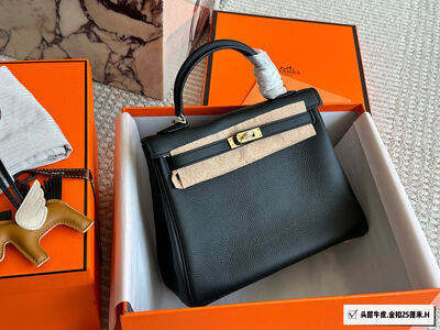 Hermes Kelly Bag view 8
