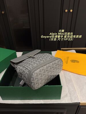 Goyard Alpin Mini Bag view 14