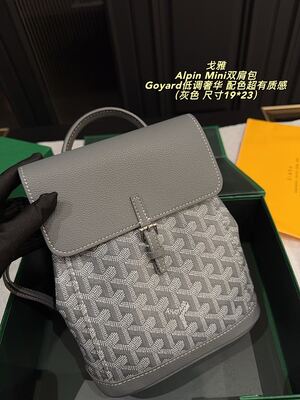 Goyard Alpin Mini Bag view 17