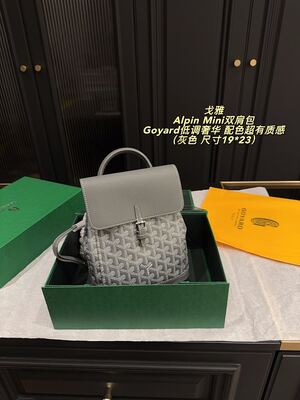 Goyard Alpin Mini Bag view 19