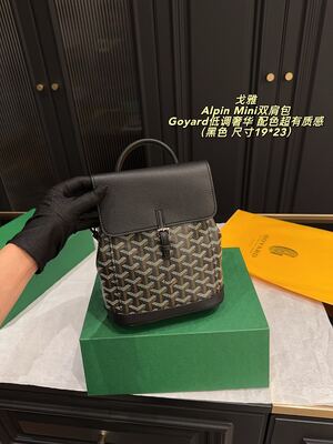 Goyard Alpin Mini Bag view 23