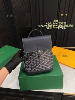 Goyard Alpin Mini Bag view 24