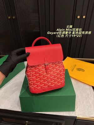 Goyard Alpin Mini Bag view 26