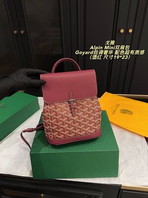 Goyard Alpin Mini Bag view 27
