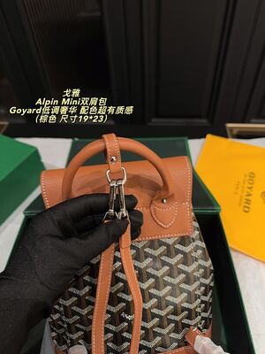 Goyard Alpin Mini Bag view 5