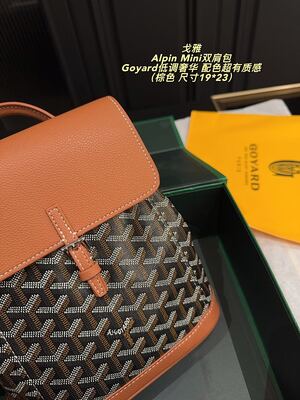 Goyard Alpin Mini Bag view 8