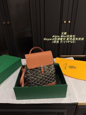 Goyard Alpin Mini Bag view 9