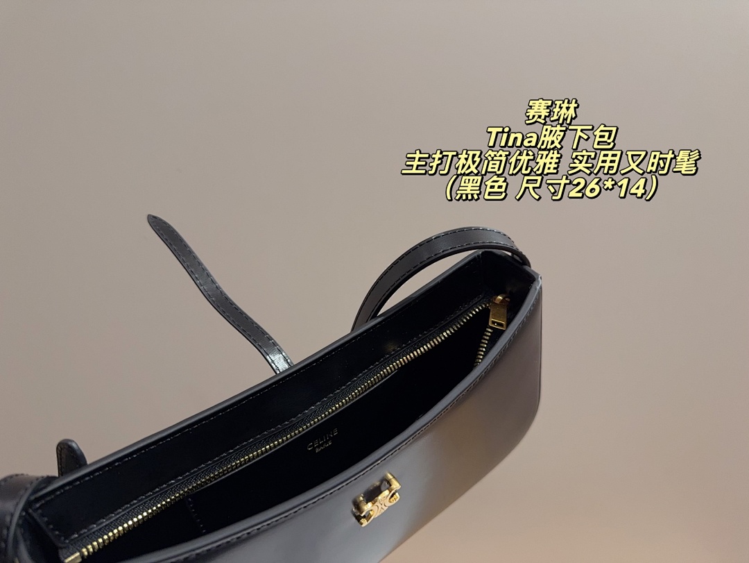 Celine Tina Shoulder Bag view