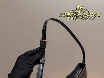 Celine Tina Shoulder Bag view 4