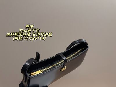 Celine Tina Shoulder Bag view 5