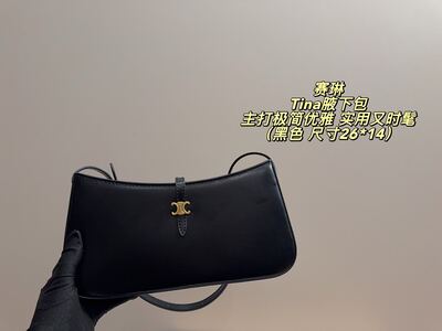 Celine Tina Shoulder Bag view 8