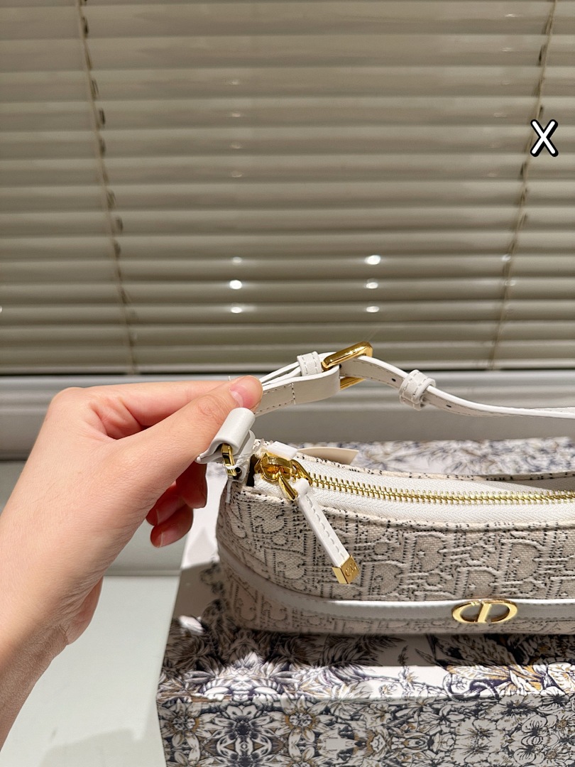 Dior Saddle Bag view