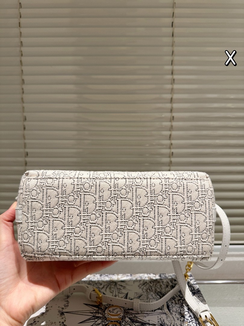 Dior Saddle Bag view