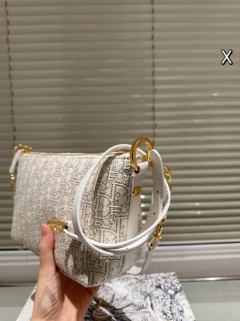Dior Saddle Bag view
